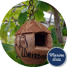 8101 - Bird Feeder - CoCo Nut